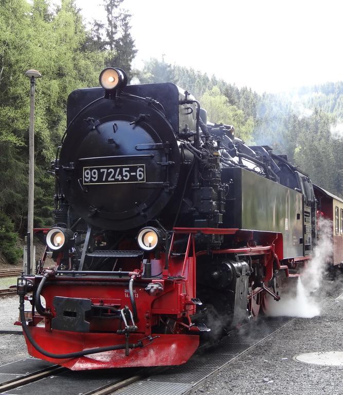 Gaestehaus Troebs Ilfeld Exteriör bild